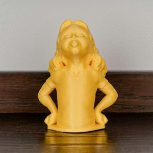 Panchroma PLA Filament Saten Sarı – 1 kg 1.75mm