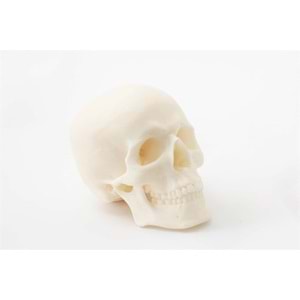Innovatefil ABS Medikal Filament - 750 g 1.75mm