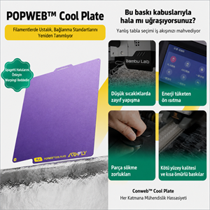 Phaetus P2S/X2D POPWEB Cool Plate 256×256 mm - Bambu Lab Baskı Tablası